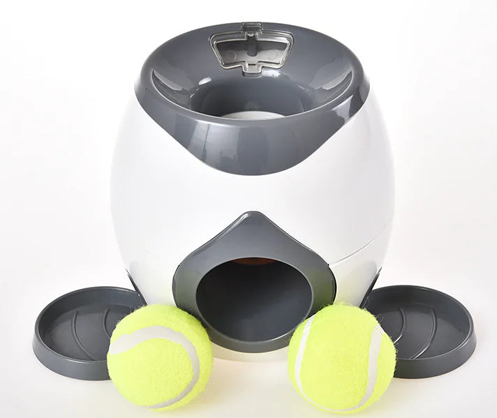 Interactive Pet Feeder Toy