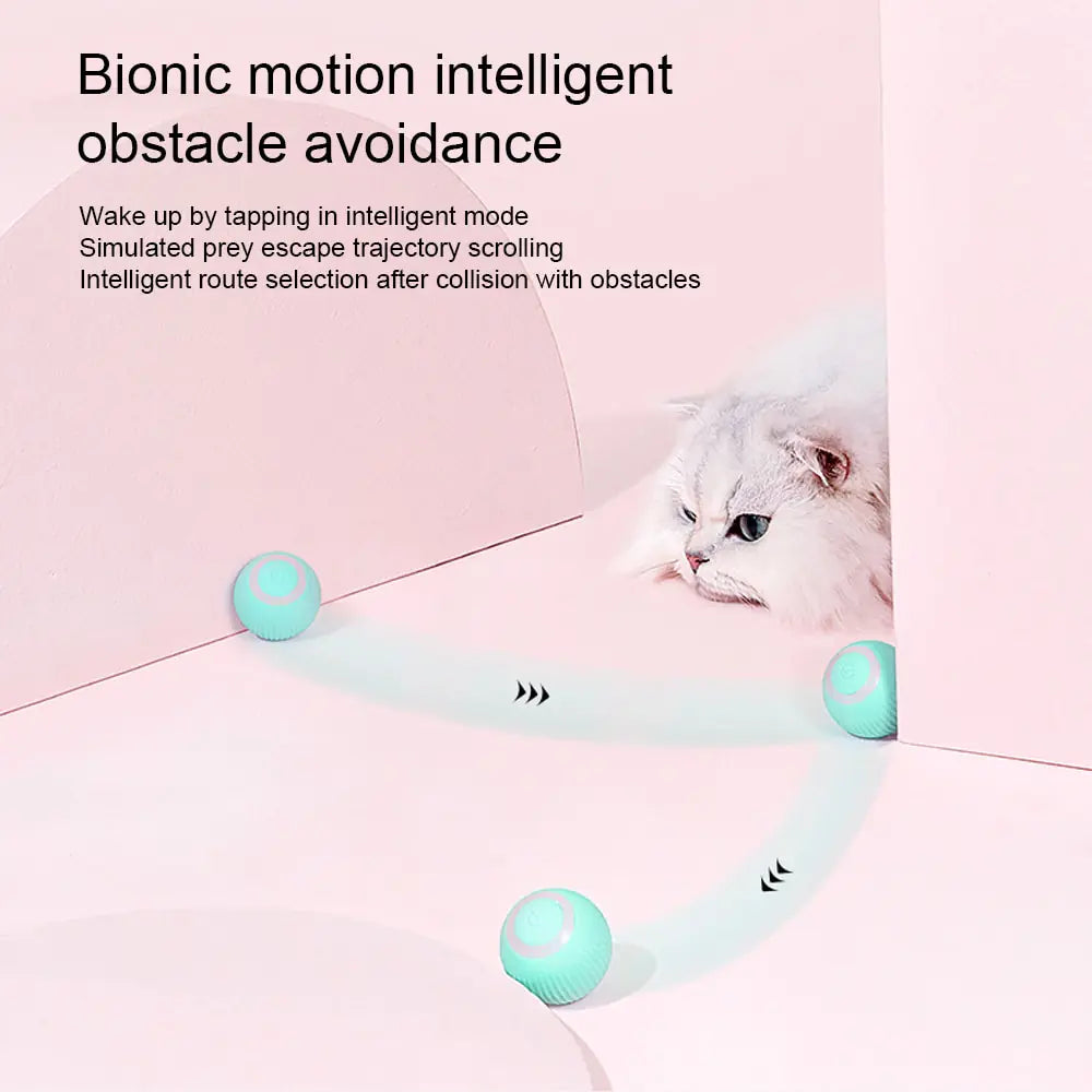 Self Moving Kitten Toys